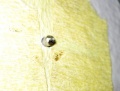 Abgelaengt.jpg